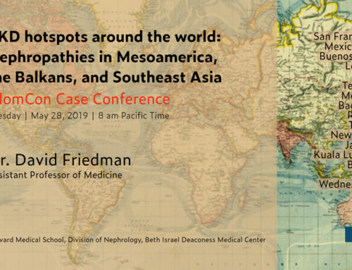 CKD Hotspots around the world: Nephropathies in Mesoamerica, the Balkans and Southeast Asia
