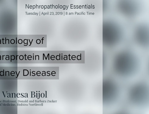 Pathology of Paraprotein Mediated Kidney Disease