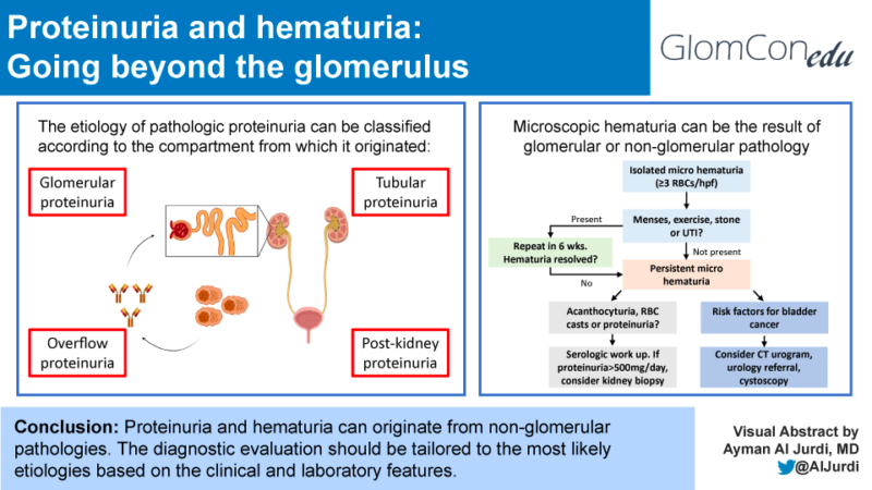 Proteinuria And Hematuria Glomcon Pubs 2504