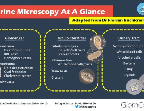 Urine Microscopy Infographic