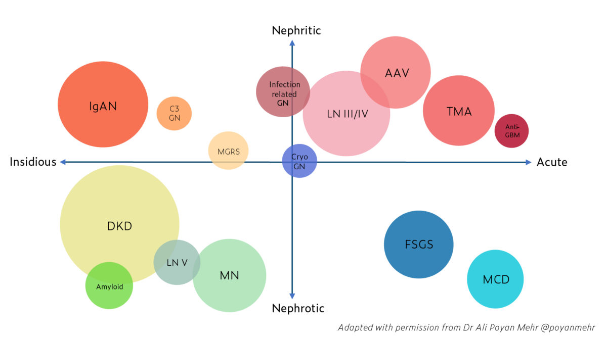 Measuring Outcomes in Glomerular Diseases – GlomCon (pubs)