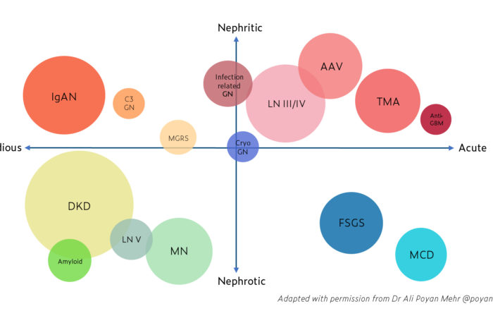 general-glomerular-diseases-glomcon-pubs