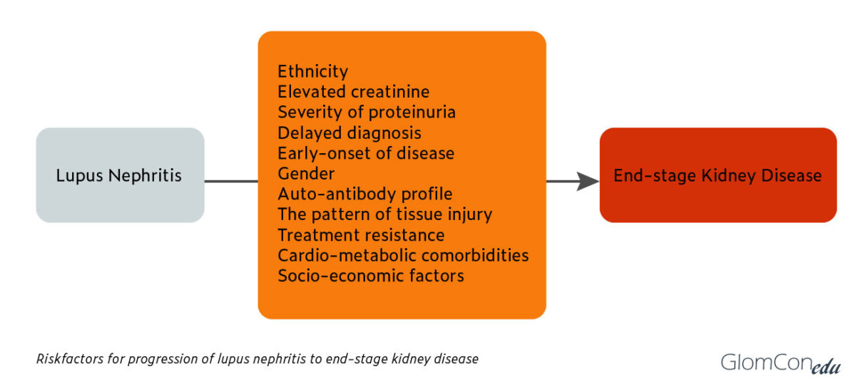 Lupus nephritis outcome – glomcon (pubs)