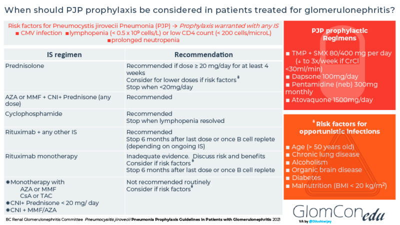 Pneumocystis Jirovecii Pneumonia Prophylaxis – GlomCon (pubs)