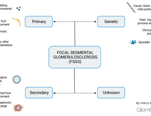 Genetic FSGS