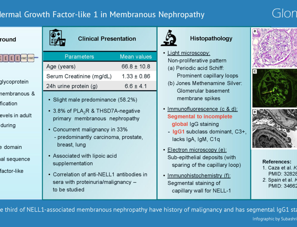 Target Antigens and Noninvasive Markers in Membranous Nephropathy ...