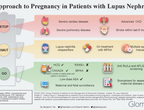 Approach to Pregnancy in Lupus Nephritis