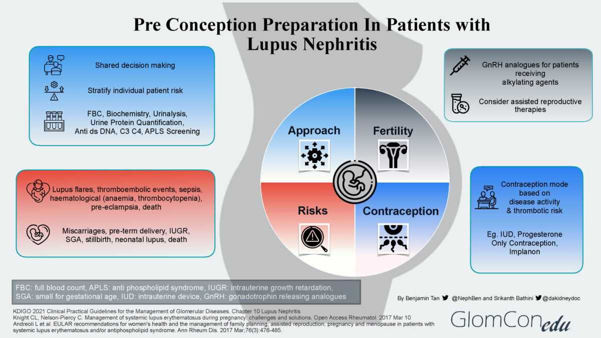 Approach To Pregnancy In Lupus Nephritis Glomcon Pubs