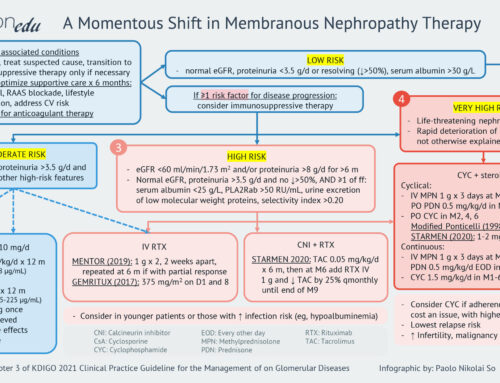 Membranous Nephropathy Treatment Infographic