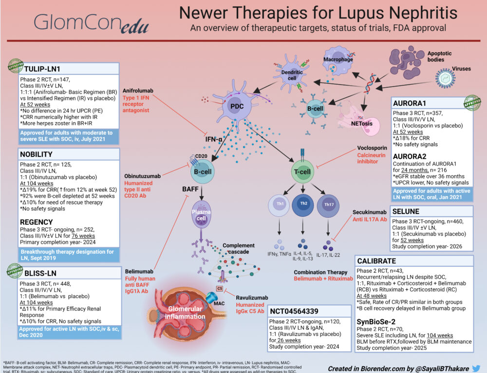 The Pathology of Lupus Nephritis and Lupus Podocytopathy- Part I ...