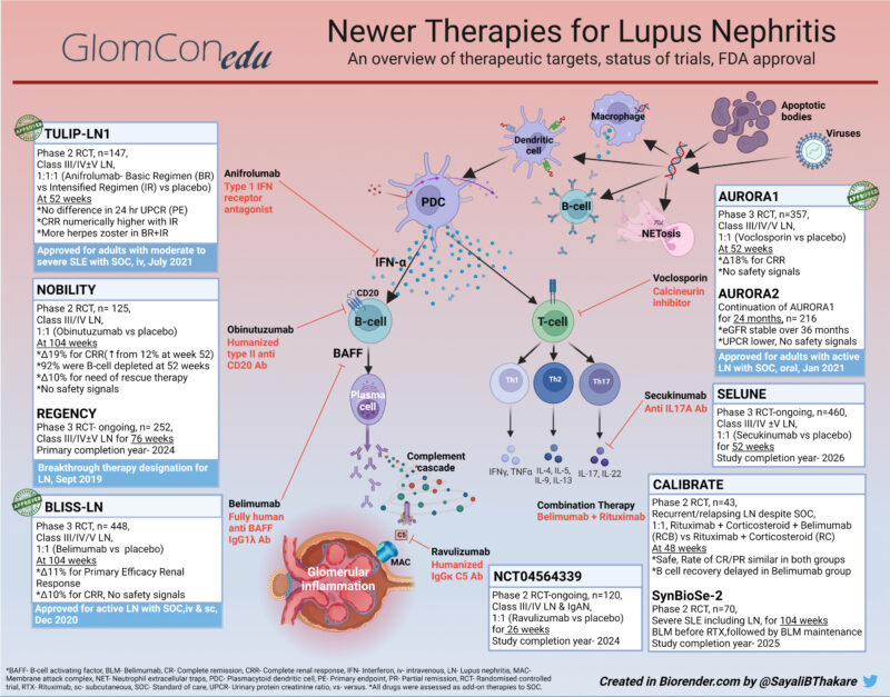 Lupus Nephritis Treatment What Is Next Glomcon Pubs 9646