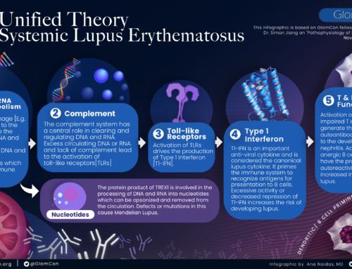 Lupus Nephritis Pathophysiology and Histopathology Infographics