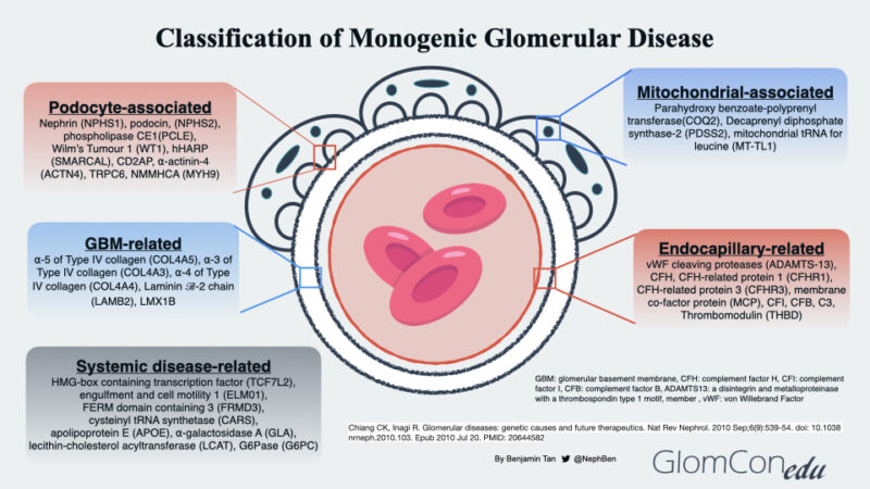 Genomics In Glomerular Disease: From Bench To Bedside – GlomCon (pubs)