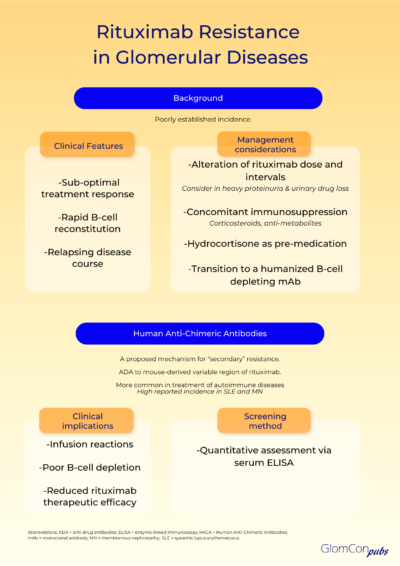 Rituximab Resistance In Glomerular Diseases – GlomCon (pubs)