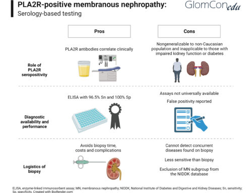 Pros and Cons of Serology-Based Testing for Primary Membranous Nephropathy
