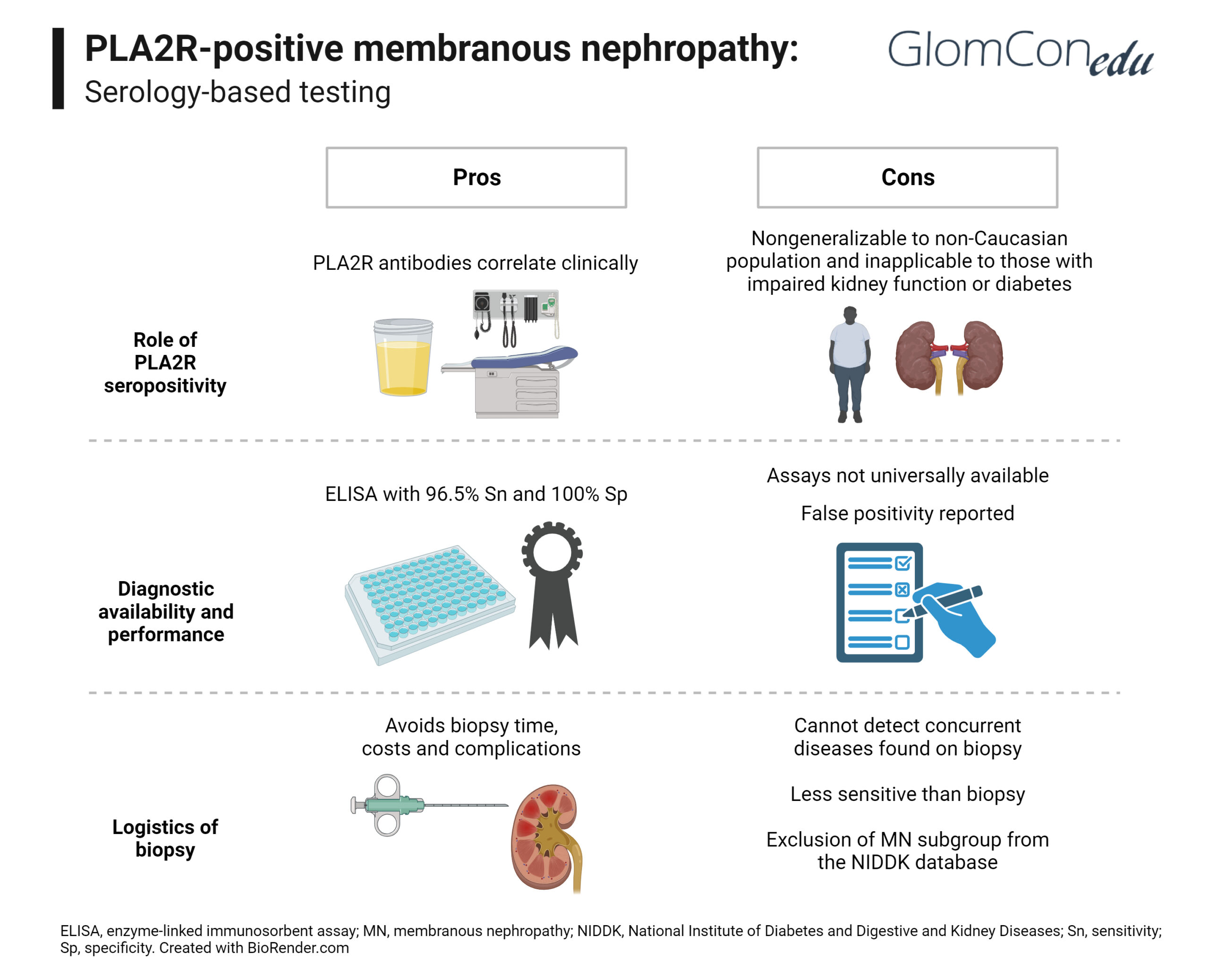 Pros and Cons of Serology-Based Testing for Primary Membranous Nephropathy  – GlomCon (pubs)