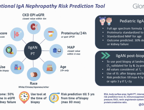International IgA Nephropathy Prediction tool: A step toward personalized medicine